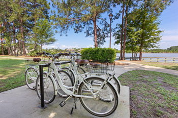 a row of white bicycles parked in front of a lake